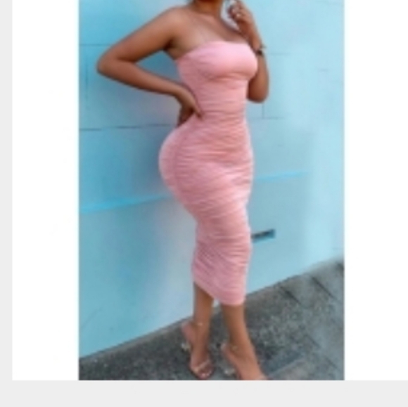 Blush Pink Spandex Tube Dress 